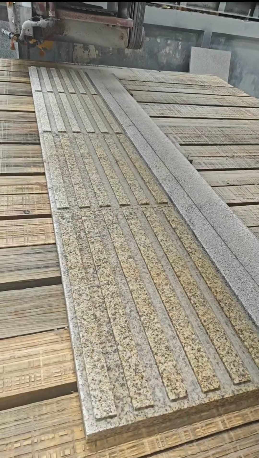 日喀则布黄金麻盲道石 盲条